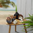 Deko Muschel Set - Naturfarben, Trend, Holz (20/17/6cm) Deko Muschel Set - Naturfarben, Trend, Holz (20/17/6cm)