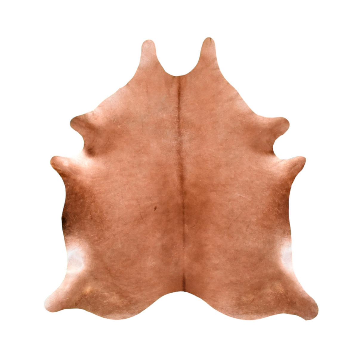 RINDERFELL 165/235 cm Cordoba Beige  - Beige, Natur, Leder/Fell (165/235cm) - Linea Natura