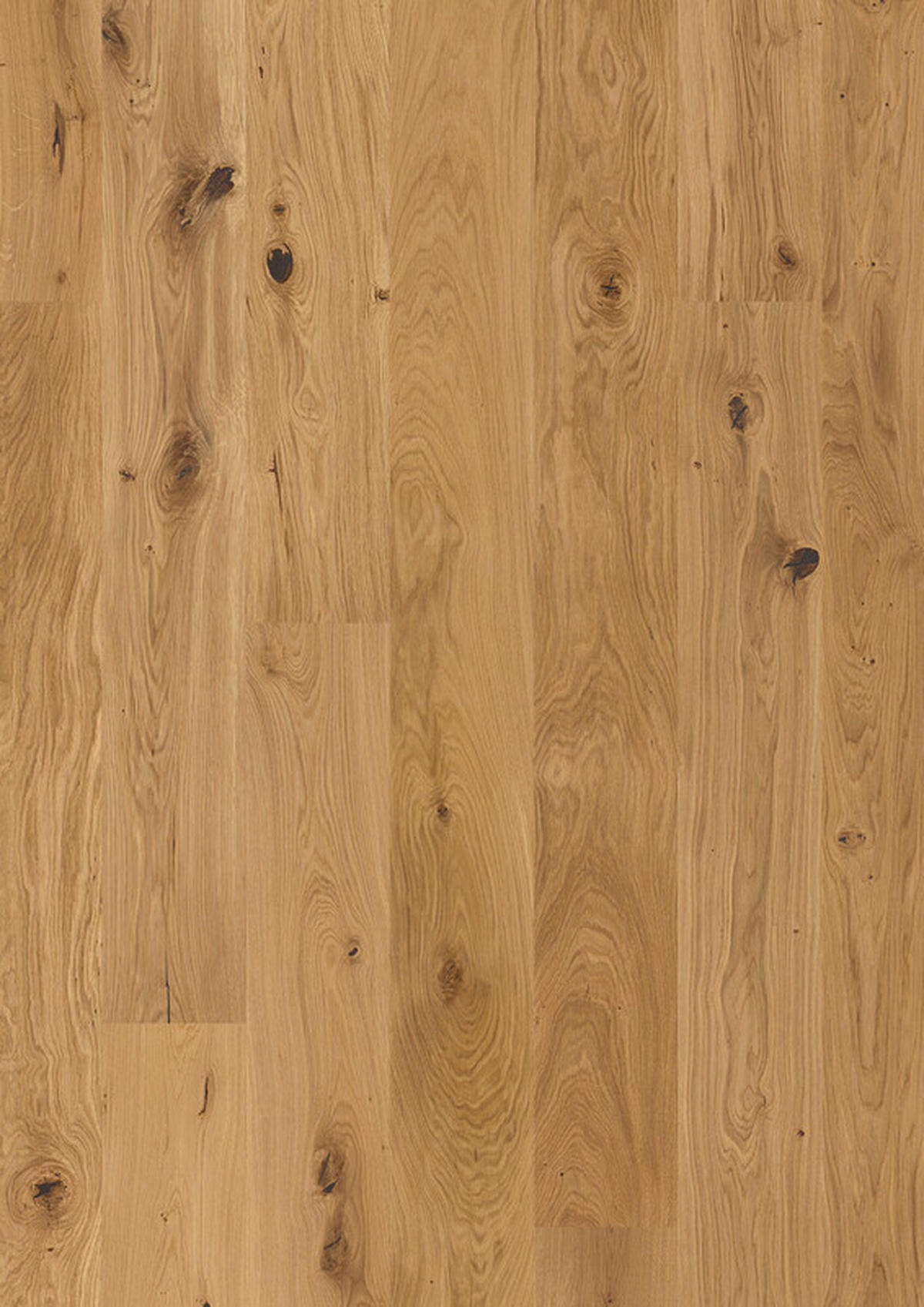 LANDHAUSDIELE, Eiche Mattlack  per  m² - Eichefarben, LIFESTYLE, Holz (170,5/17,6/1,2cm) - Waldwelt