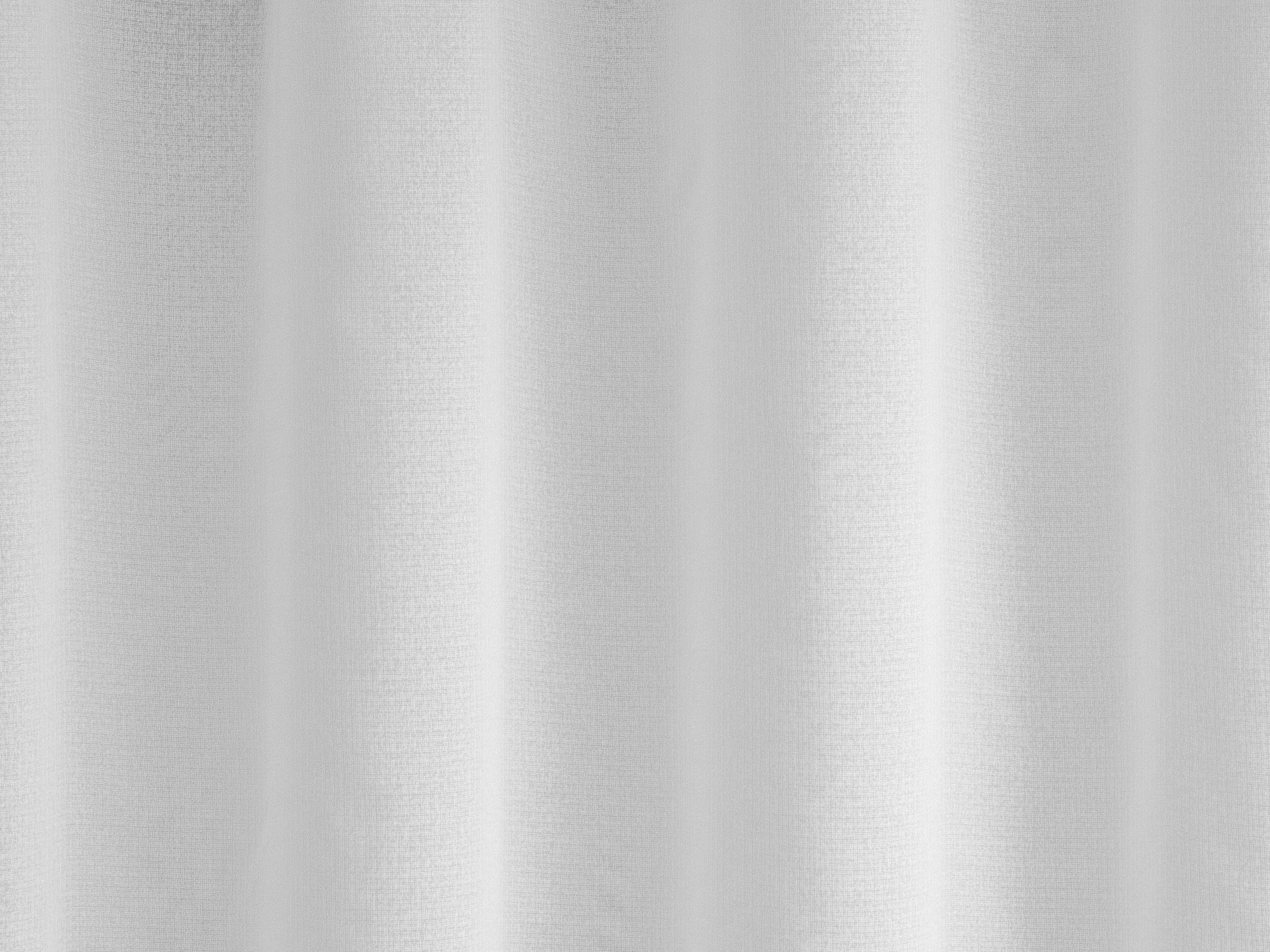 TKANINA ZA ZAVJESE bijela - bijela, Basics, tekstil (320cm)