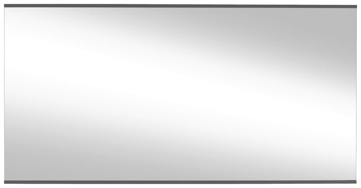 STENSKO OGLEDALO, 158/80/2 cm steklo  - siva, Design, steklo/les (158/80/2cm) - Dieter Knoll
