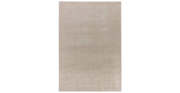 WEBTEPPICH SAVONA - Beige, KONVENTIONELL, Textil (80/150cm) - Novel