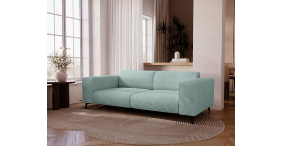 2-SITZER-SOFA Cord Salbeigrün  - Salbeigrün/Schwarz, KONVENTIONELL, Textil/Metall (207/75/104cm) - Carryhome