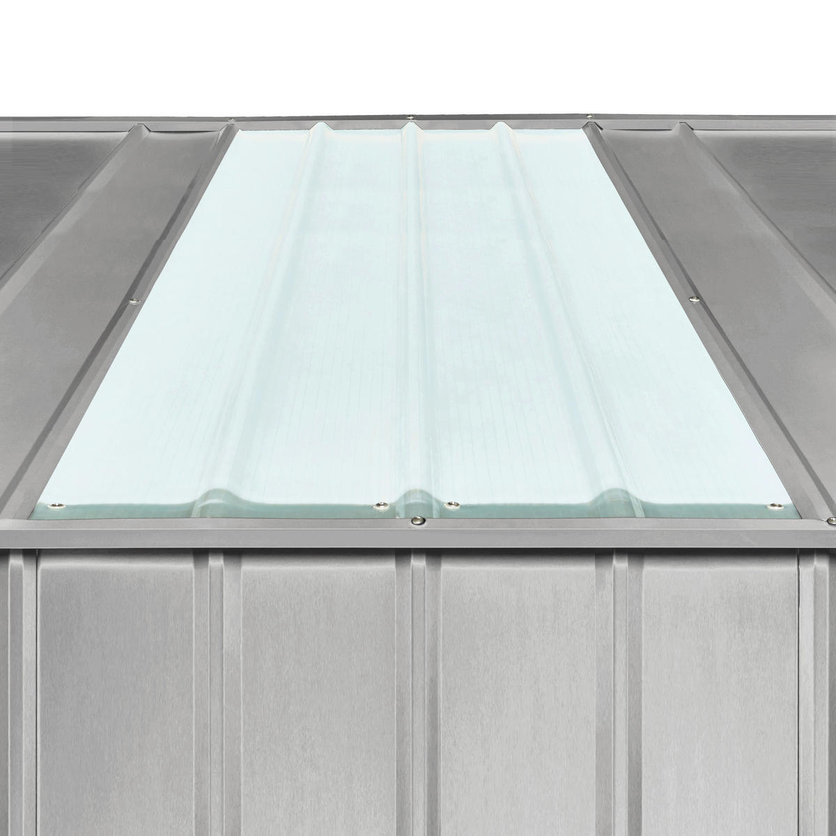 FENSTERLICHTPANEEL  - Transparent, Basics, Kunststoff (65,5/155cm)