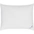 POLŠTÁŘ 3KOMOROVÝ - bílá, Basics, textilie (70/90cm) - Sleeptex POLŠTÁŘ 3KOMOROVÝ - bílá, Basics, textilie (70/90cm) - Sleeptex