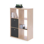 REGAL Eichefarben  - Eichefarben, Basics, Holzwerkstoff (73/107/33cm) - Carryhome