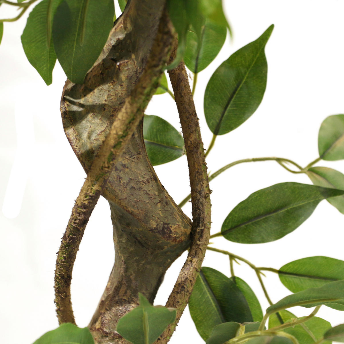 KUNSTPFLANZE Ficus Benjamina  - Schwarz/Braun, Basics, Kunststoff (70/120/70cm) - MID.YOU