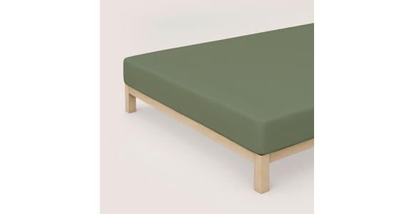 SPANNLEINTUCH 120/200 cm Jersey  - Dunkelgrün, Basics, Textil (120/200cm) - Novel