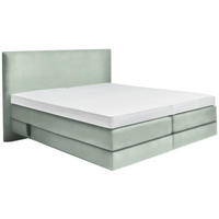 BOXSPRINGBETT 160/200 cm  in Jadegrün  - Jadegrün, Konventionell, Holz/Textil (160/200cm) - Dieter Knoll