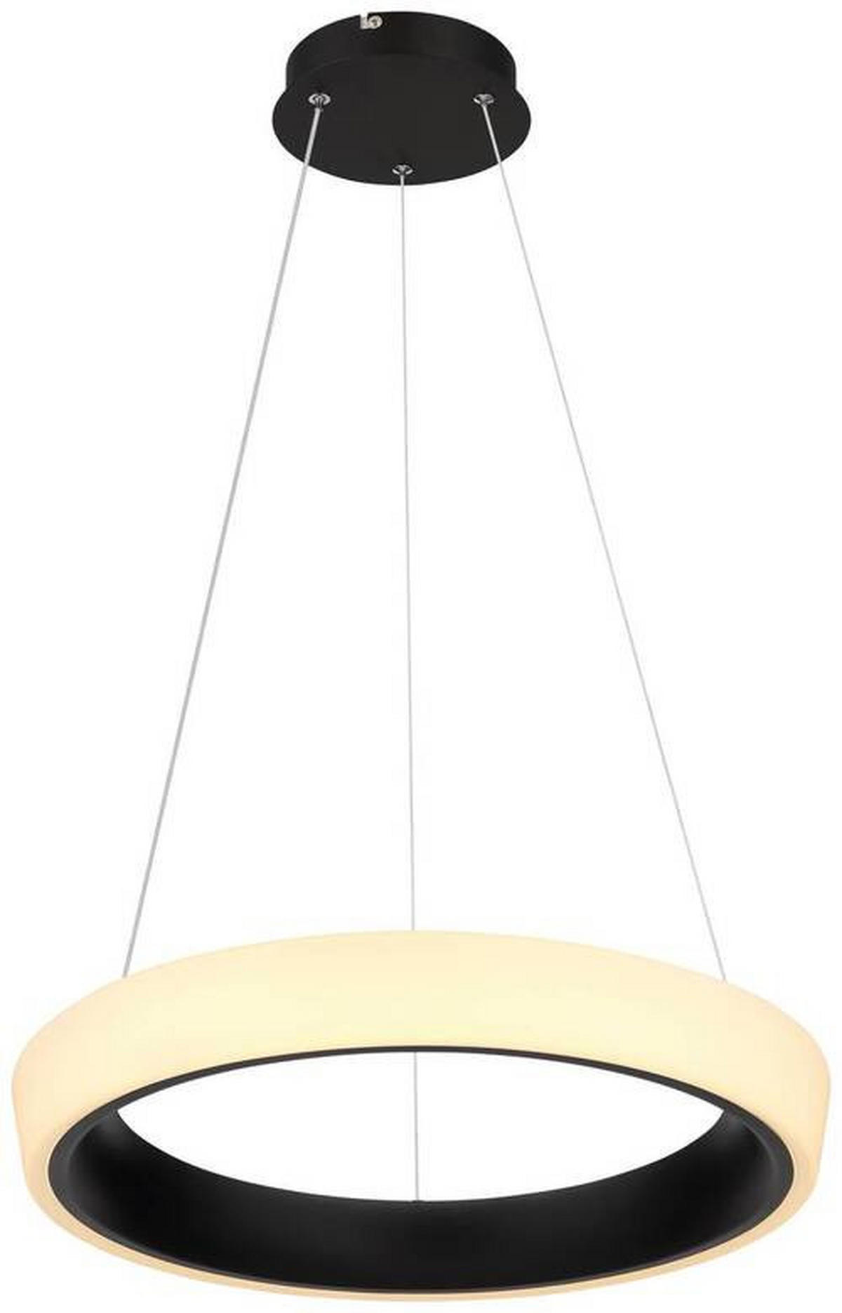ZÁVĚSNÉ LED SVÍTIDLO, 49,5/120 cm  - černá/opál, Design, kov/plast (49,5/120cm)