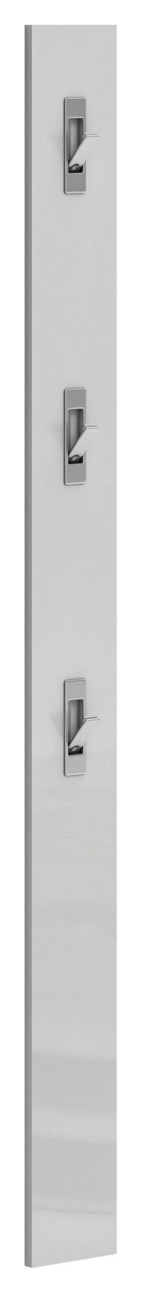 GARDEROBENPANEEL  in 15/170/2 cm  - Weiß Hochglanz, Design, Holzwerkstoff (15/170/2cm) - Xora