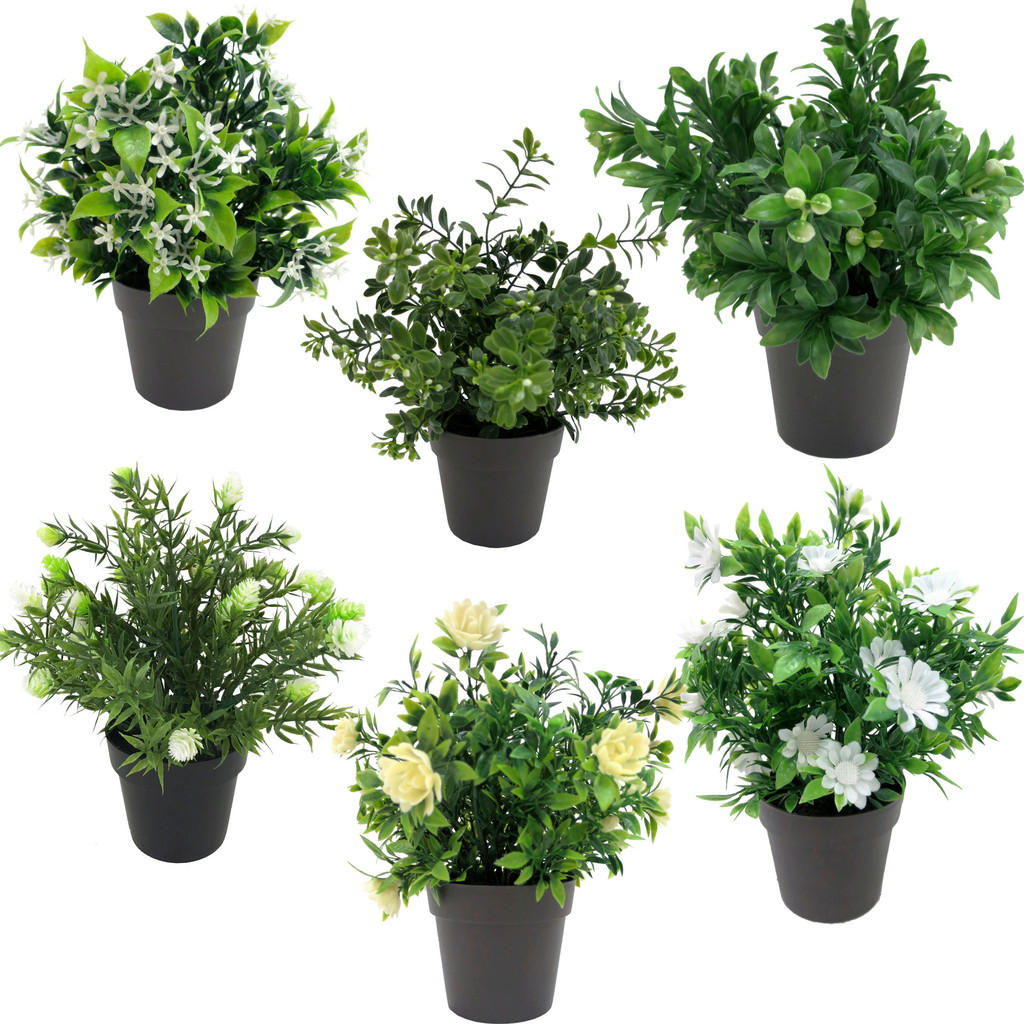 Kunstpflanze Weiß/Grün H: 23 cm Im Topf, Cassandra