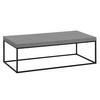 COUCHTISCH 120/60/38 cm rechteckig Grau  - Schwarz/Grau, Design, Holzwerkstoff/Metall (120/60/38cm) - Livetastic