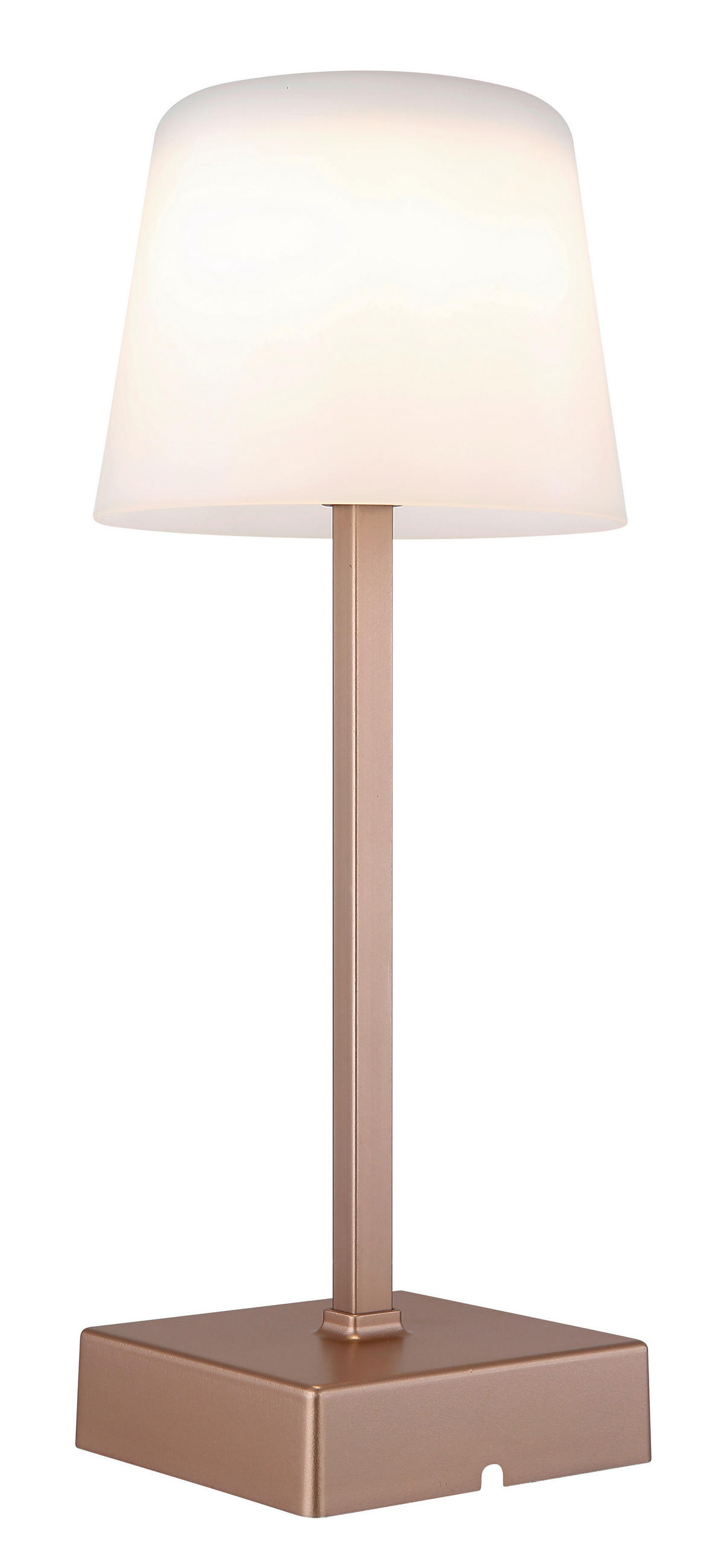 STOLNA PUNJIVA SVJETILJKA XAYDEN  - crna/boje šampanjca, Basics, metal/plastika (8,5/25,5cm)