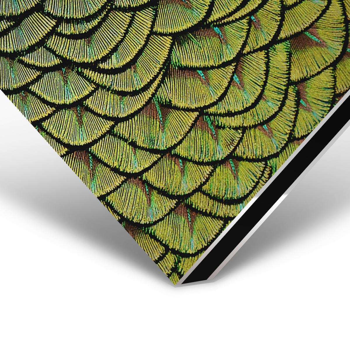 ALUMINIUMBILD 118/70 cm  - Multicolor, Design, Kunststoff/Metall (118/70cm)