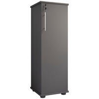 CD-REGAL Anthrazit  - Anthrazit/Schwarz, Design, Holzwerkstoff/Kunststoff (31/93/31cm) - MID.YOU