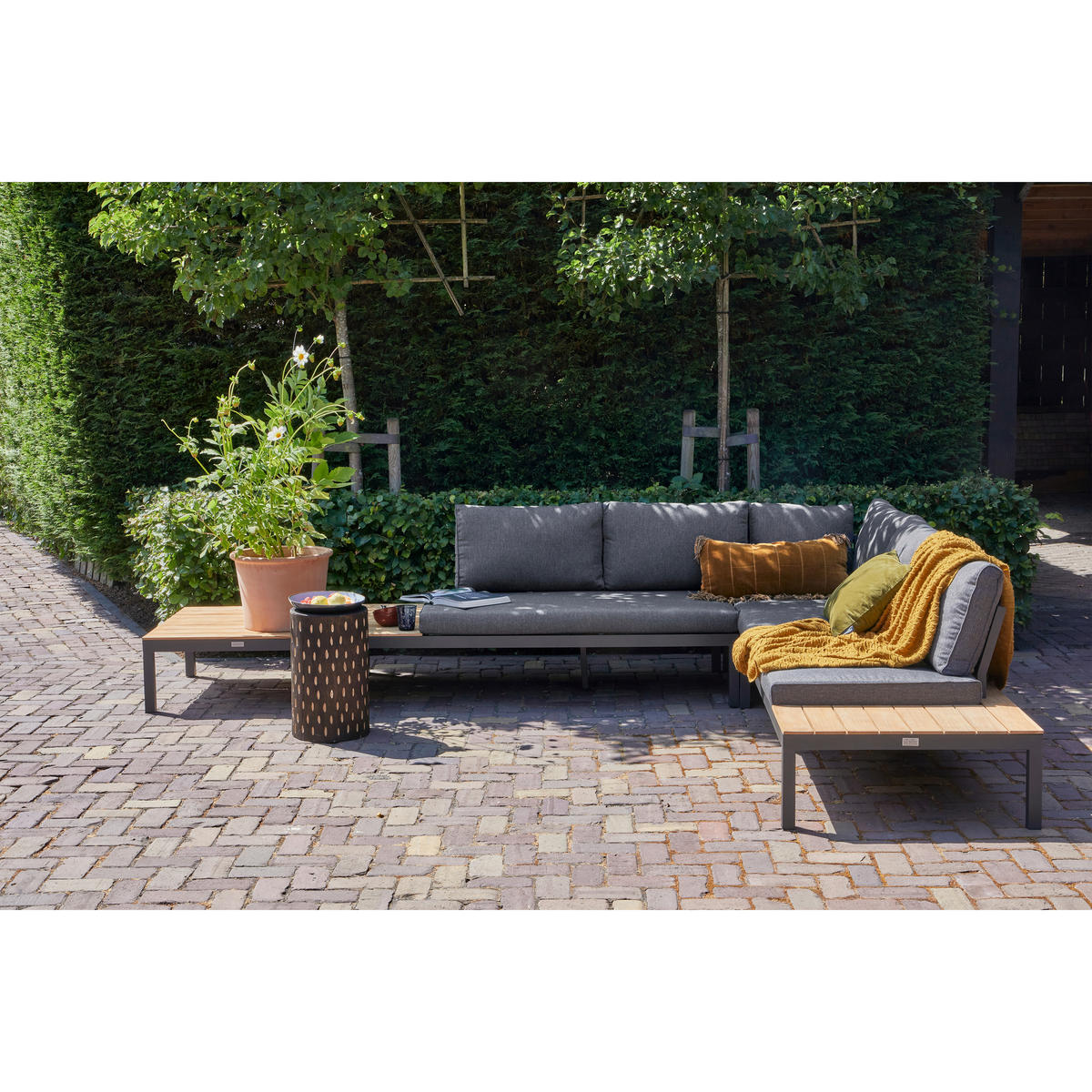 HOCKER Paulownia Dunkelbraun  - Dunkelbraun, Design, Holz (30/49/30cm) - Livetastic