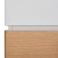 HIGHBOARD  in 100/120/40 cm  - Eichefarben/Weiß, KONVENTIONELL, Holzwerkstoff (100/120/40cm) - Novel