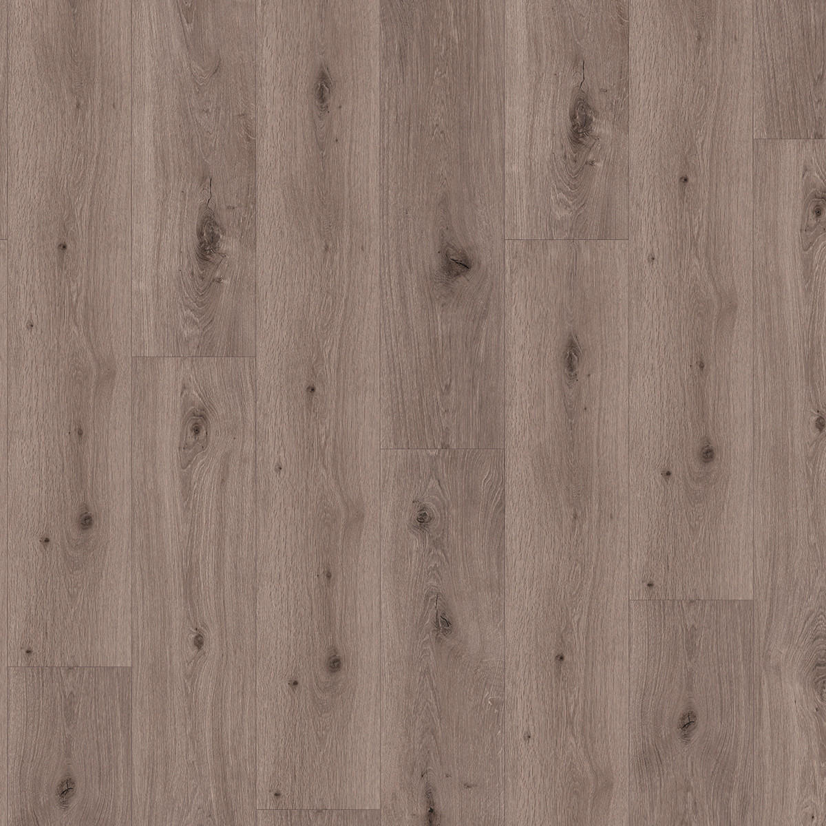 DESIGNBODEN Trendtime 8 1744828  per  m² - Eichefarben, Design, Kunststoff (152,2/22,5/0,06cm) - Parador