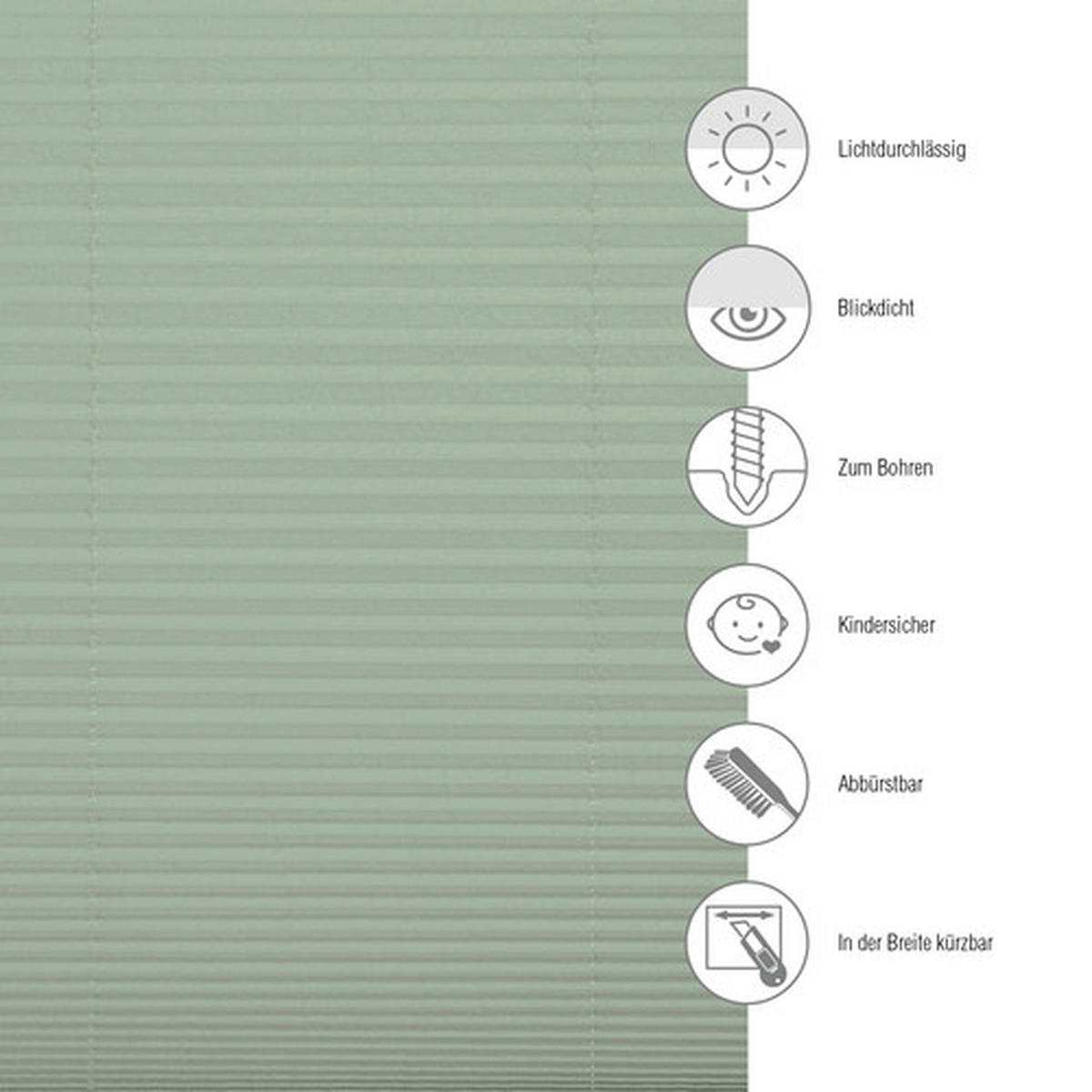PLISSÉGARDIN  - grön, Basics, textil (80/220cm) - Schöner Wohnen