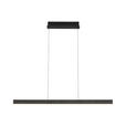 LED-HÄNGELEUCHTE Kent 118/10/170 cm   - Schwarz, Design, Kunststoff/Metall (118/10/170cm) - Dieter Knoll