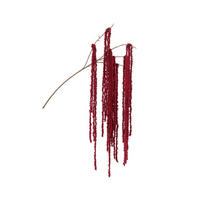 GRANA DEKORATIVNA  - crvena, Basics, plastika (120/28/12cm)
