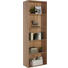REGAL in Eichefarben - Eichefarben/Schwarz, Design, Holzwerkstoff/Kunststoff (60/192/32cm) - Carryhome REGAL in Eichefarben - Eichefarben/Schwarz, Design, Holzwerkstoff/Kunststoff (60/192/32cm) - Carryhome