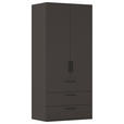 DREHTÜRENSCHRANK 101/235/61 cm,  in Graphitfarben, 2-türig  - Schwarz/Graphitfarben, Basics, Holzwerkstoff/Metall (101/235/61cm) - Novel