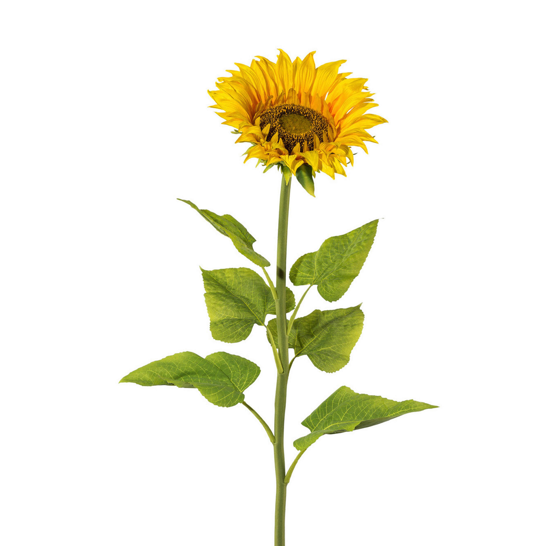 KUNSTBLUME Sonnenblume  - Gelb/Grün, Basics, Kunststoff (22/110/22cm)