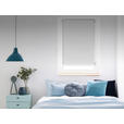 ROLLO 100/160 cm  - Weiß, Design, Kunststoff (100/160cm) - Boxxx