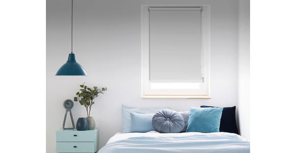 ROLLO 100/160 cm  - Weiß, Design, Kunststoff (100/160cm) - Boxxx