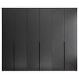 DREHTÜRENSCHRANK  in Graphitfarben  - Schwarz/Graphitfarben, MODERN, Holzwerkstoff/Kunststoff (270/225/52cm) - Carryhome