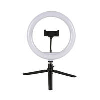 LED-RINGLEUCHTE - Weiss/Schwarz, Trend, Kunststoff/Metall (24,5/38cm) - Novel