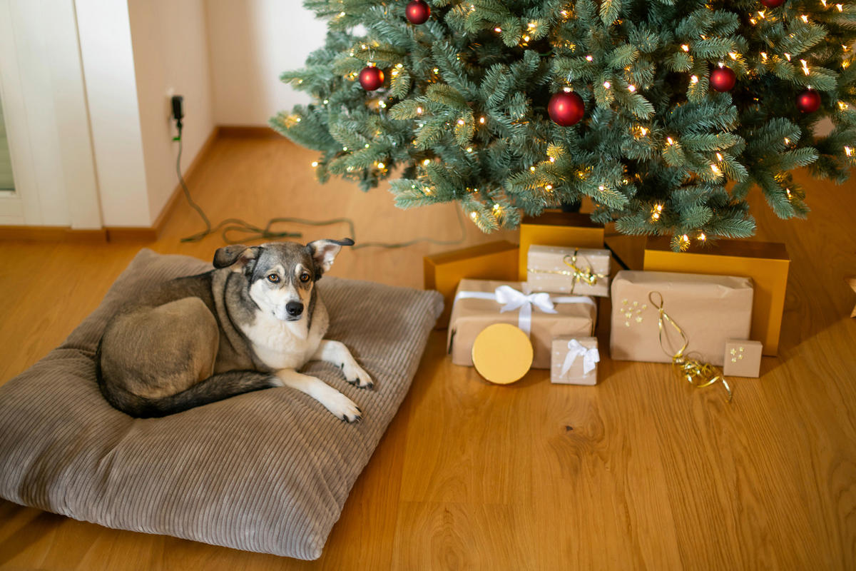 WEIHNACHTSBAUM 210 cm  - Waldgrün, Basics, Kunststoff/Metall (150/210cm)