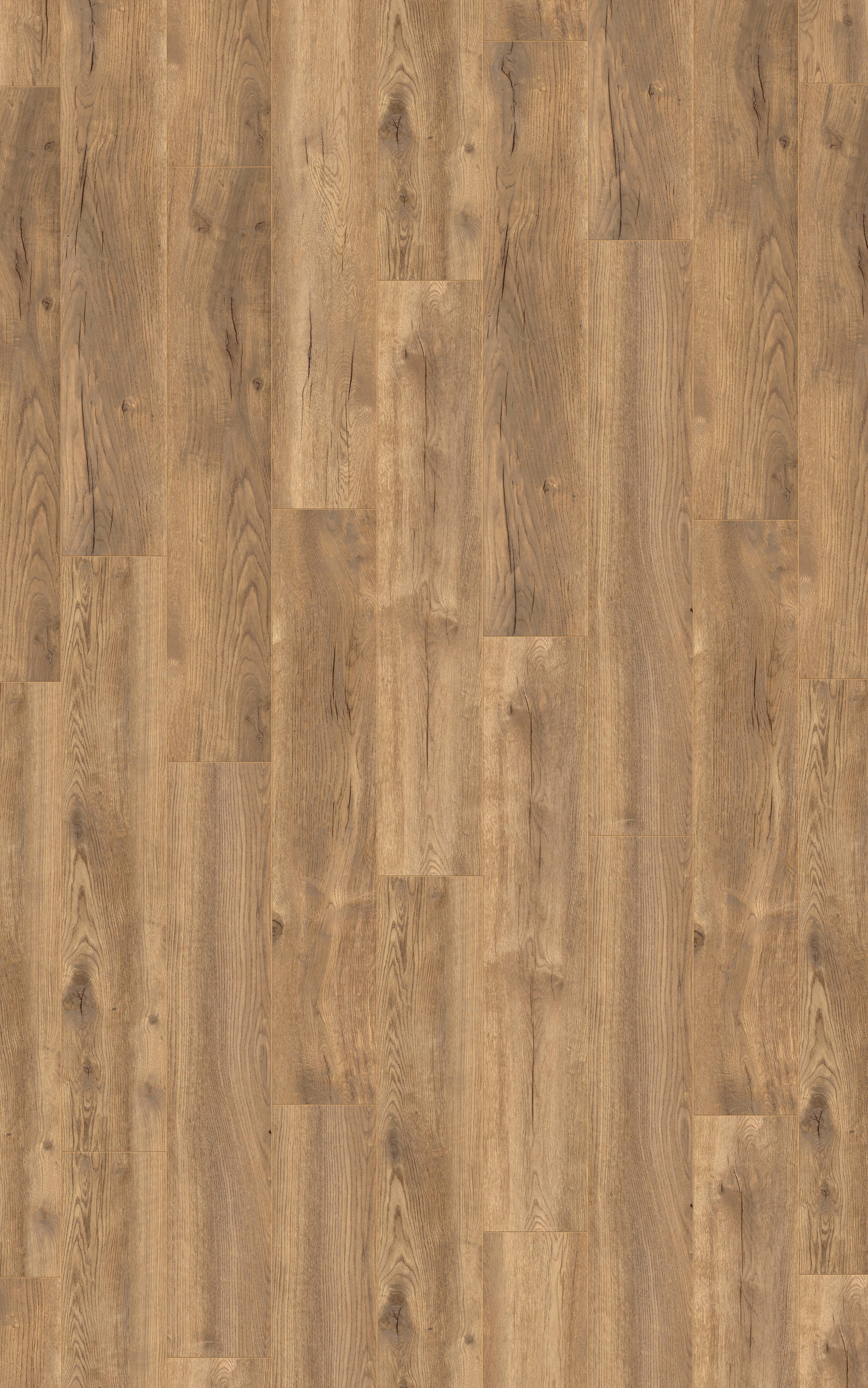 Laminatboden Eiche natur Exquisit Plus  - Hellbraun, KONVENTIONELL, Holz (138.0/24.4/0.8cm)