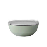 SALATSCHÜSSEL  Silueta  - Transparent/Salbeigrün, KONVENTIONELL, Kunststoff (30,1/12,7cm) - Mepal