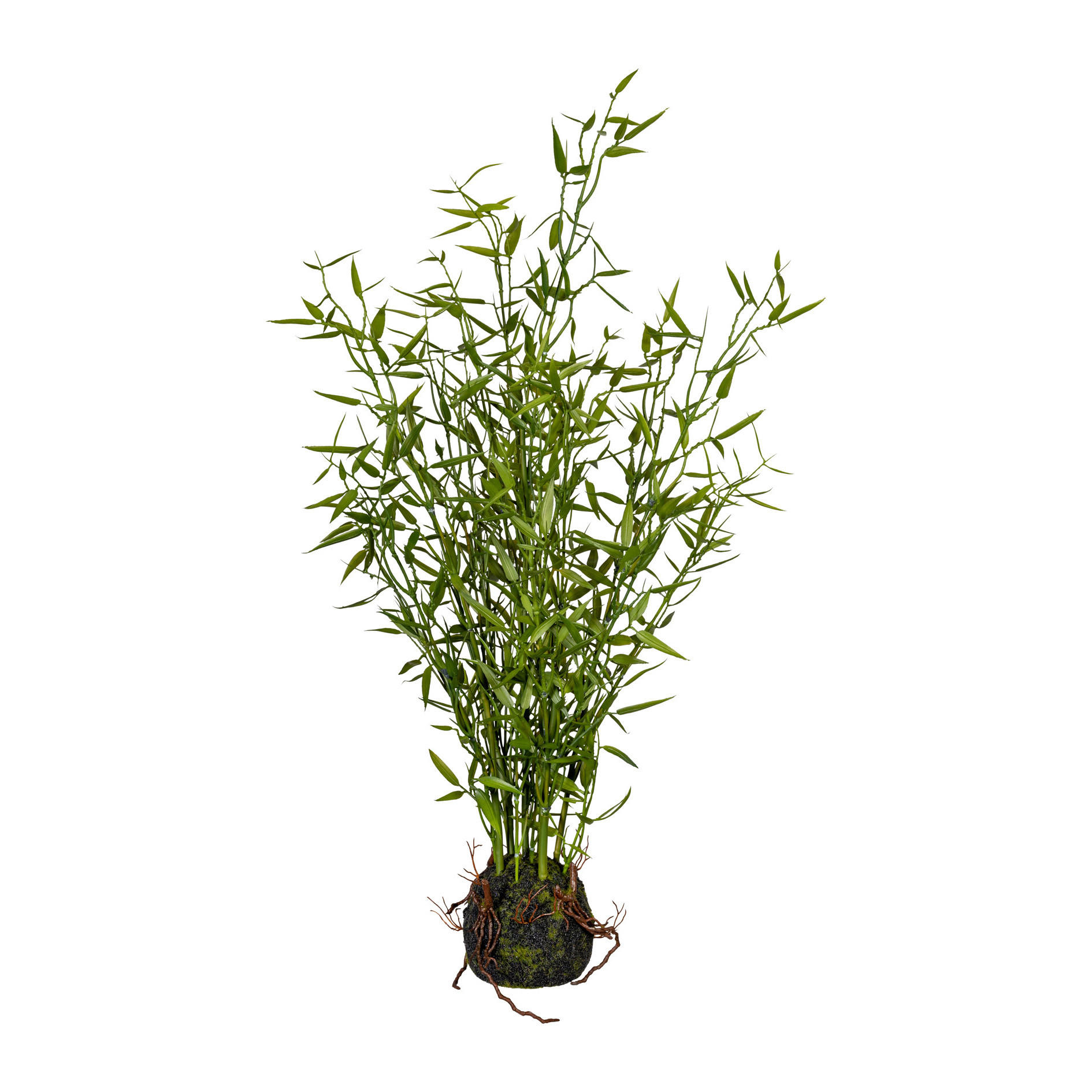 KUNSTPFLANZE Bambus 60 cm  - Braun/Grün, Design, Kunststoff (60cm) - P & B