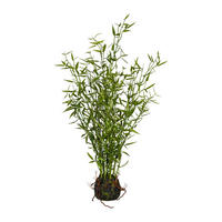KUNSTPFLANZE Bambus 60 cm  - Braun/Grün, Design, Kunststoff (60cm) - P & B
