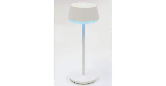 LED-TISCHLEUCHTE 12/30 cm - Weiß, Basics, Kunststoff/Metall (12/30cm) - Dieter Knoll