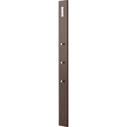 GARDEROBENPANEEL 15/170/3 cm - Braun, Design, Glas/Holzwerkstoff (15/170/3cm) - Moderano