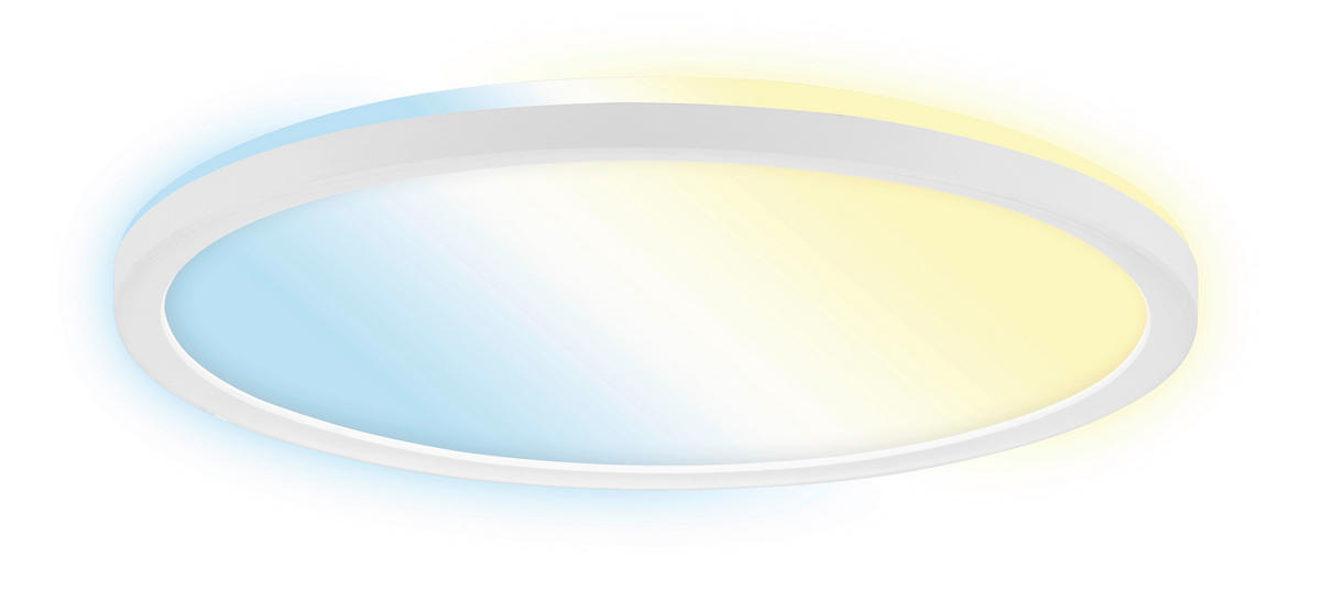 LED SVJETILJKA STROPNA  - bijela, Basics, plastika (29/3cm)