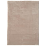 HOCHFLORTEPPICH 67/110 cm Cosy Beige  - Beige, KONVENTIONELL, Textil (67/110cm) - Boxxx