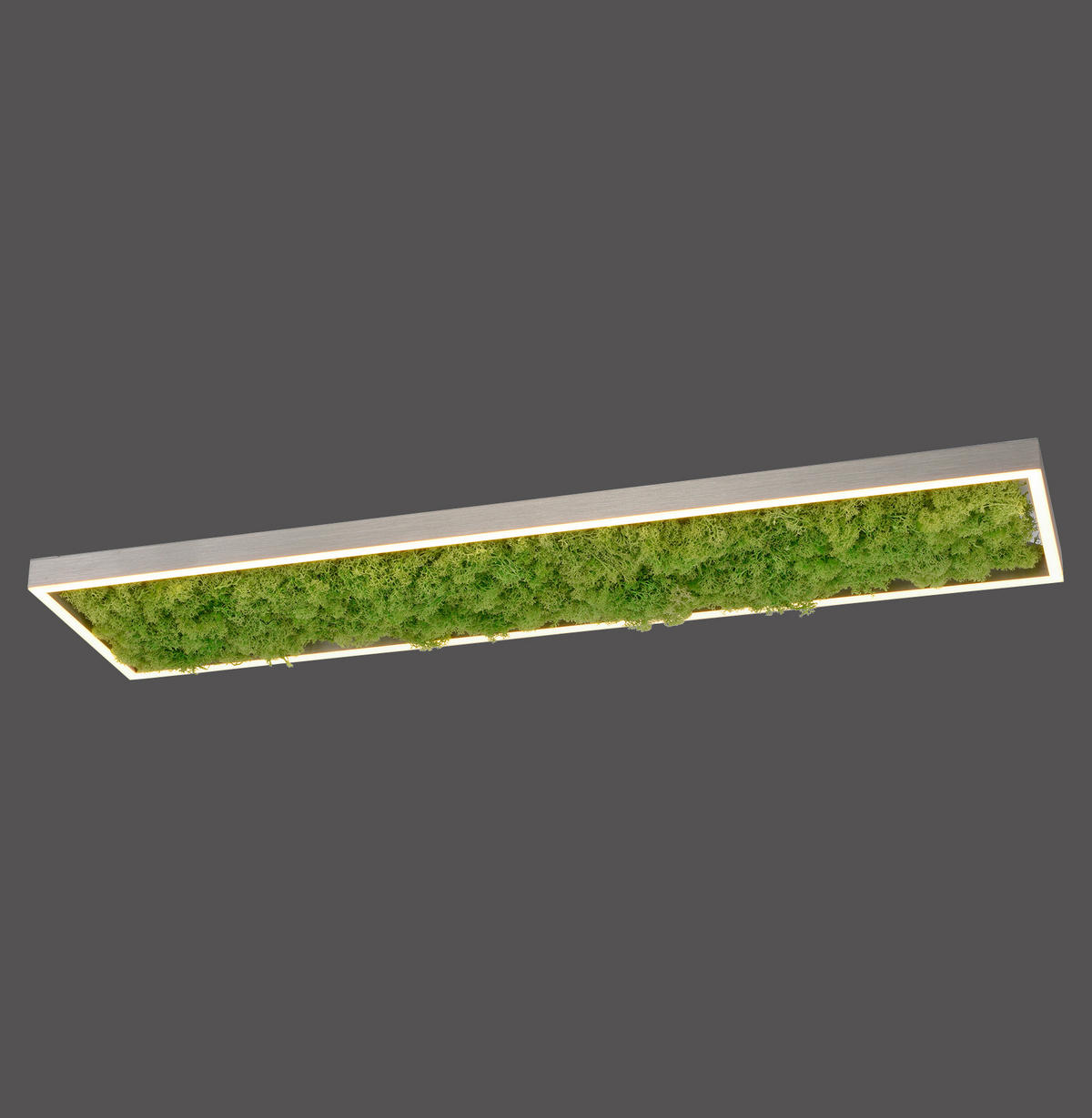 LED-DECKENLEUCHTE Knut 100/25/5,6 cm   - Natur, Naturmaterialien/Kunststoff (100/25/5,6cm)
