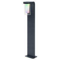 WEGELEUCHTE Smart+ Outdoor WiFi Cascade 20/16/80 cm   - Klar/Dunkelgrau, Design, Glas/Metall (20/16/80cm) - Ledvance