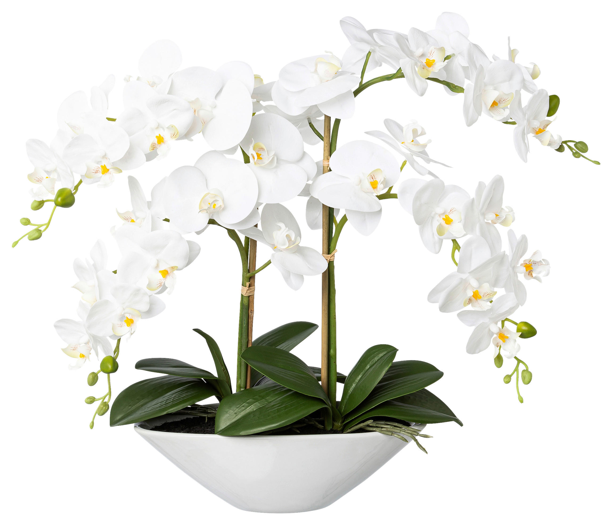 KUNSTPFLANZE Orchidee 53 cm  - Weiß/Grün, Design, Keramik/Kunststoff (53cm)