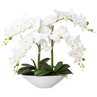KUNSTPFLANZE Orchidee 53 cm  - Weiß/Grün, Design, Keramik/Kunststoff (53cm)
