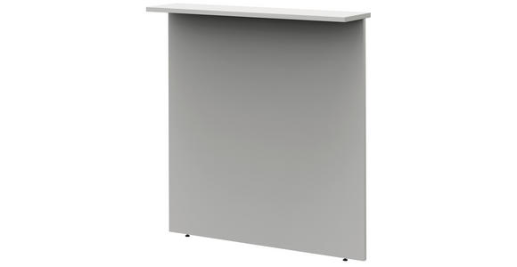 SICHTBLENDE Hellgrau - Hellgrau, Design, Holzwerkstoff (100/112,9/25cm) - Moderano