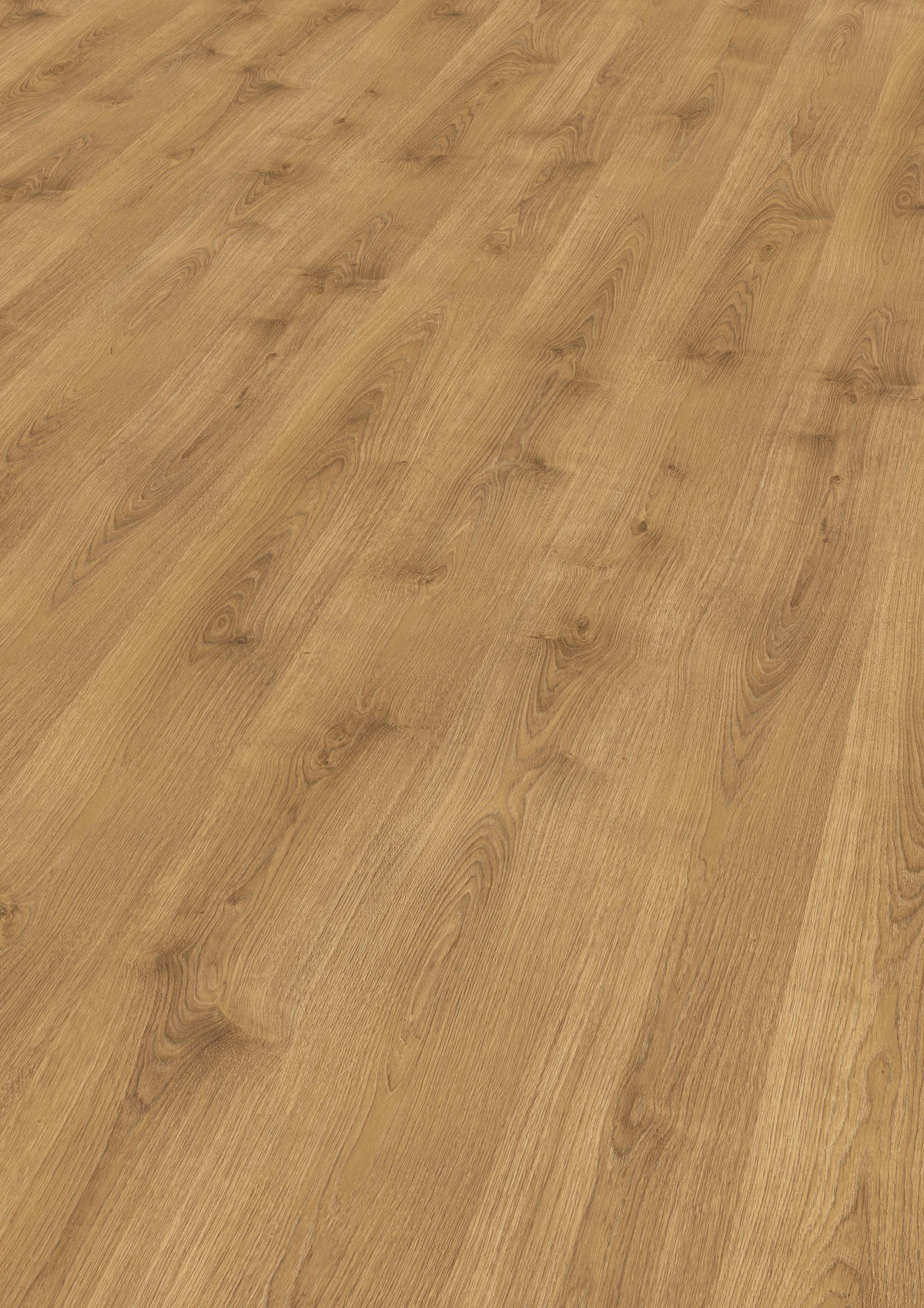 LAMINATBODEN Nord Eiche natur  per  m² - Eichefarben, KONVENTIONELL, Holzwerkstoff (129.2/19.3/0.7cm) - Venda