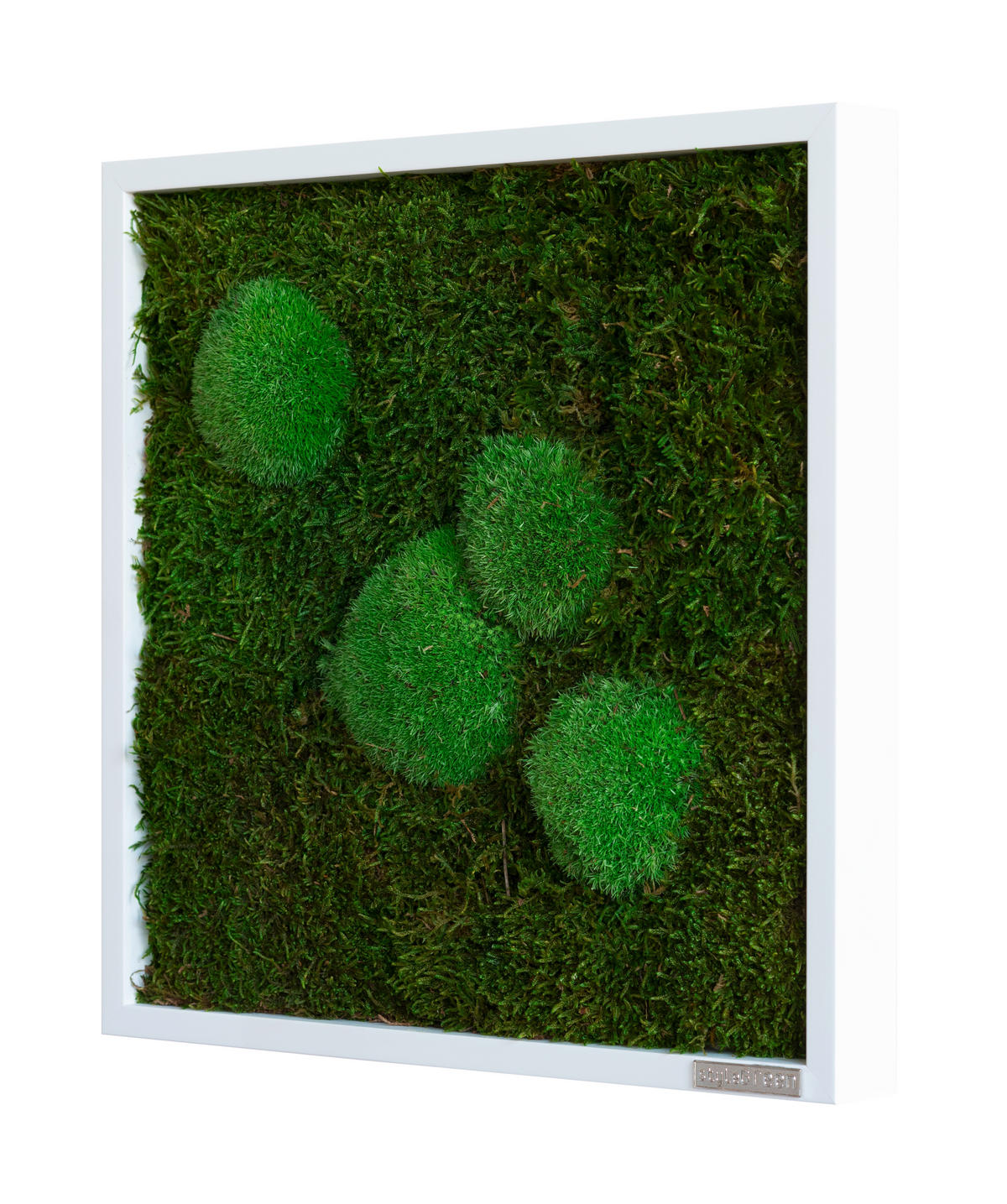MECHOVÝ OBRAZ - bílá/zelená, Basics, dřevo/přírodní materiály (35/35/6cm)