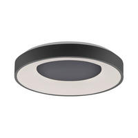 LED-DECKENLEUCHTE 48/7,8 cm   - Anthrazit, Basics, Kunststoff/Metall (48/7,8cm)